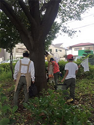 自然観察講座など、地域の人々と連携した企画